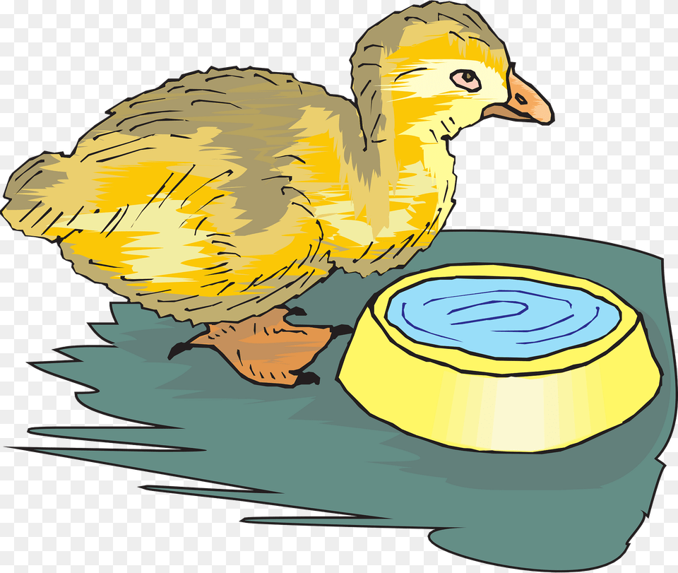 Duckling Clipart, Animal, Bird Png Image