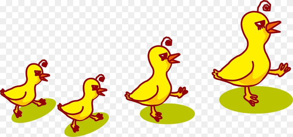 Duckling Clipart Duck Beak, Baby, Person, Animal, Bird Free Png