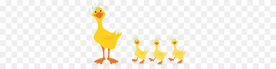 Duckling Clipart Family, Baby, Person, Animal, Bird Png Image