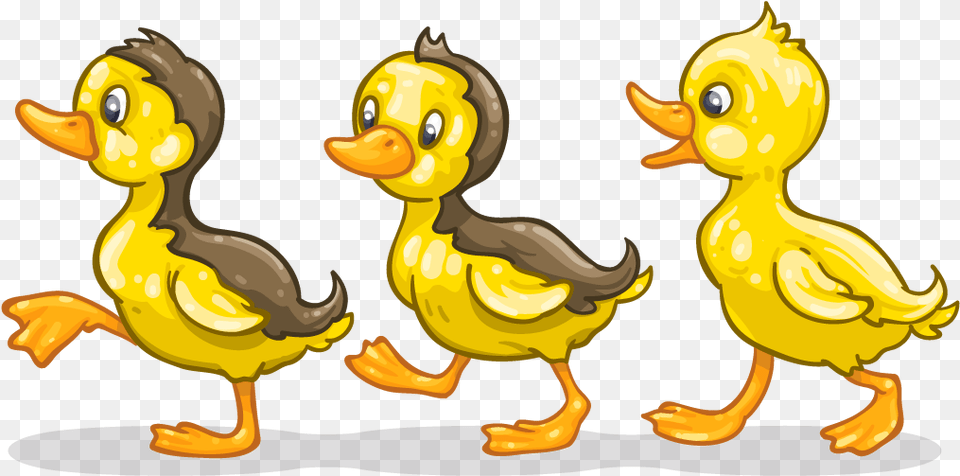 Ducklings In The Pond Cartoon Ducklings, Animal, Bird, Duck, Beak Free Png Download
