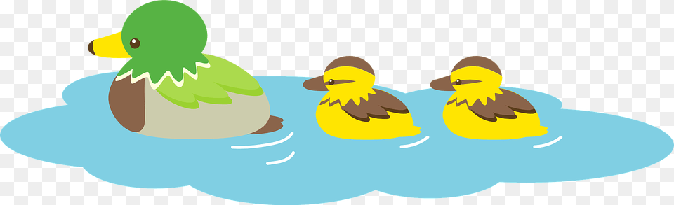 Ducks Birds Clipart, Animal, Beak, Bird, Duck Free Transparent Png
