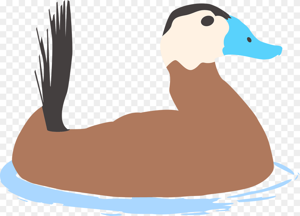 Ducks Clipart, Animal, Anseriformes, Bird, Waterfowl Png Image