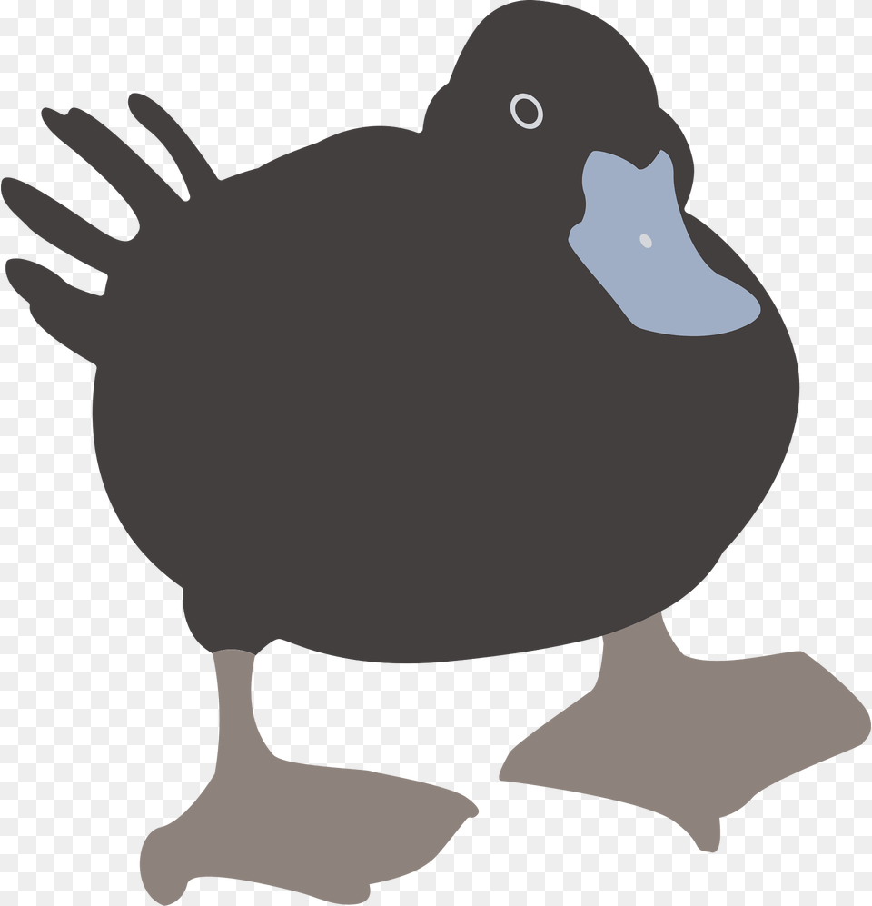 Ducks Clipart, Animal, Beak, Bird, Duck Png