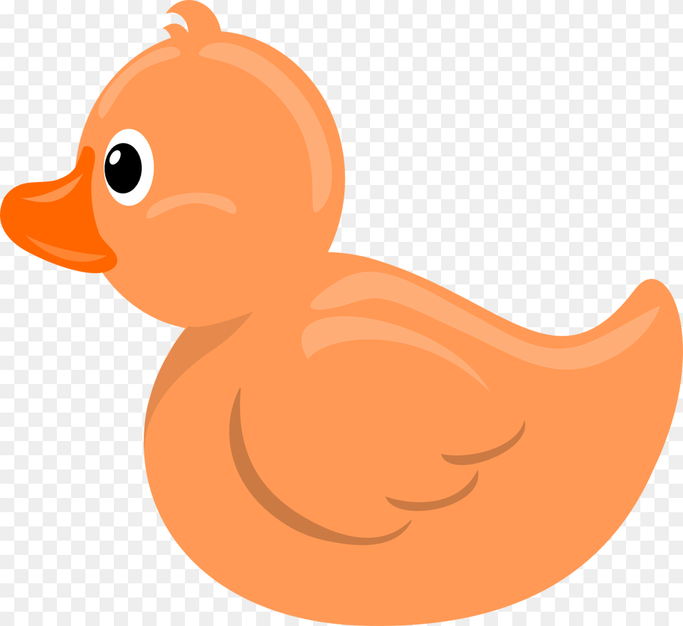 Ducks Clipart, Animal, Bird, Duck, Beak Png Image