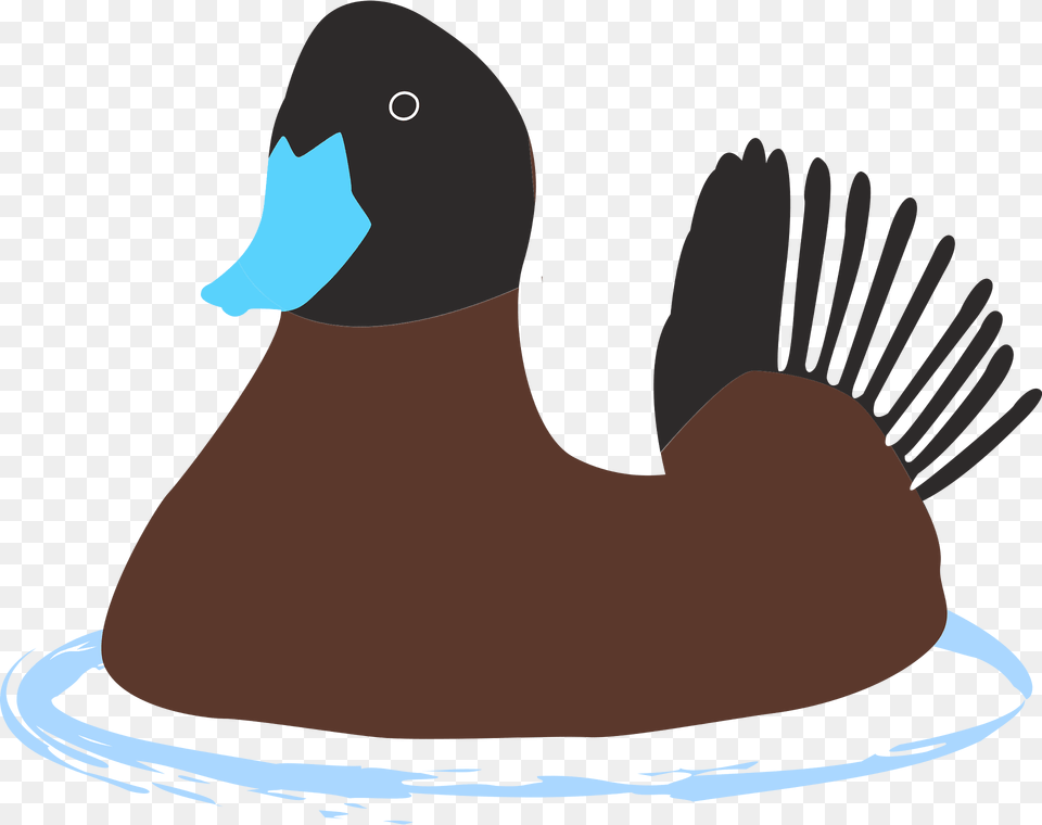 Ducks Clipart, Animal, Anseriformes, Bird, Waterfowl Png