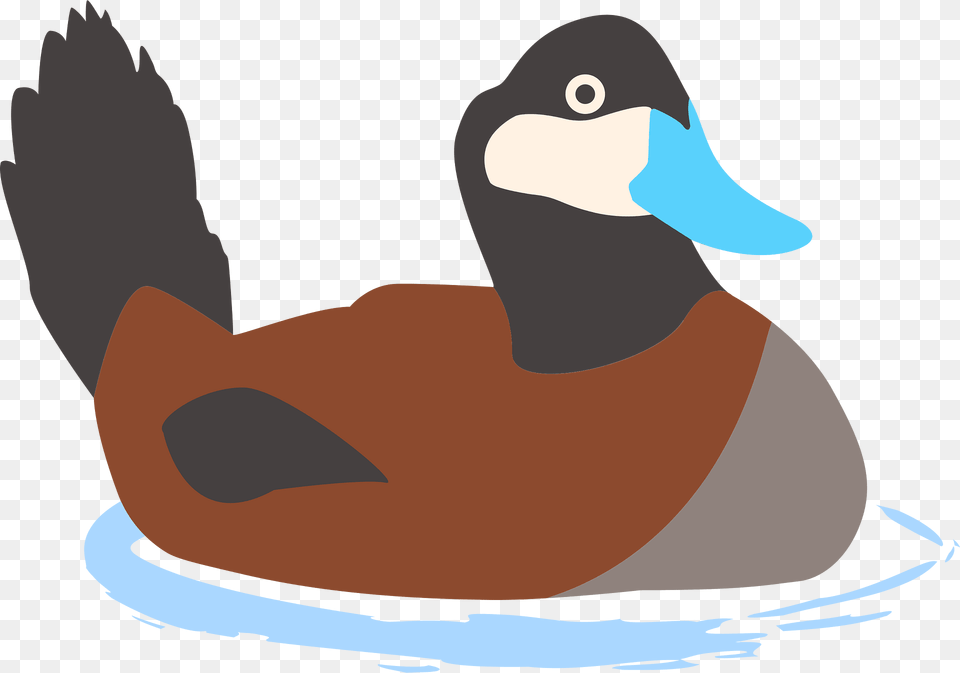 Ducks Clipart, Animal, Waterfowl, Bird, Anseriformes Png