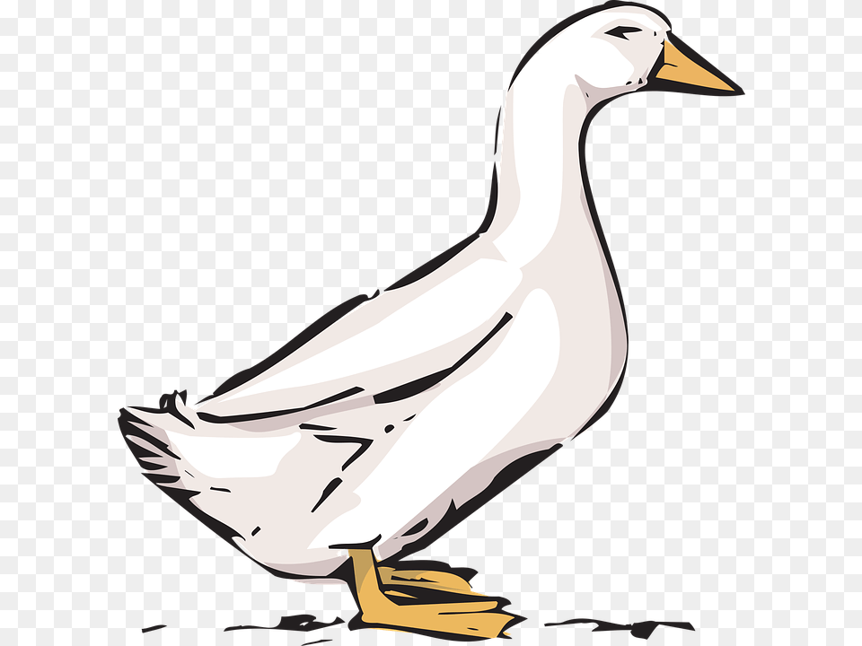 Ducks Clipart Farm Thing, Animal, Beak, Bird, Goose Png