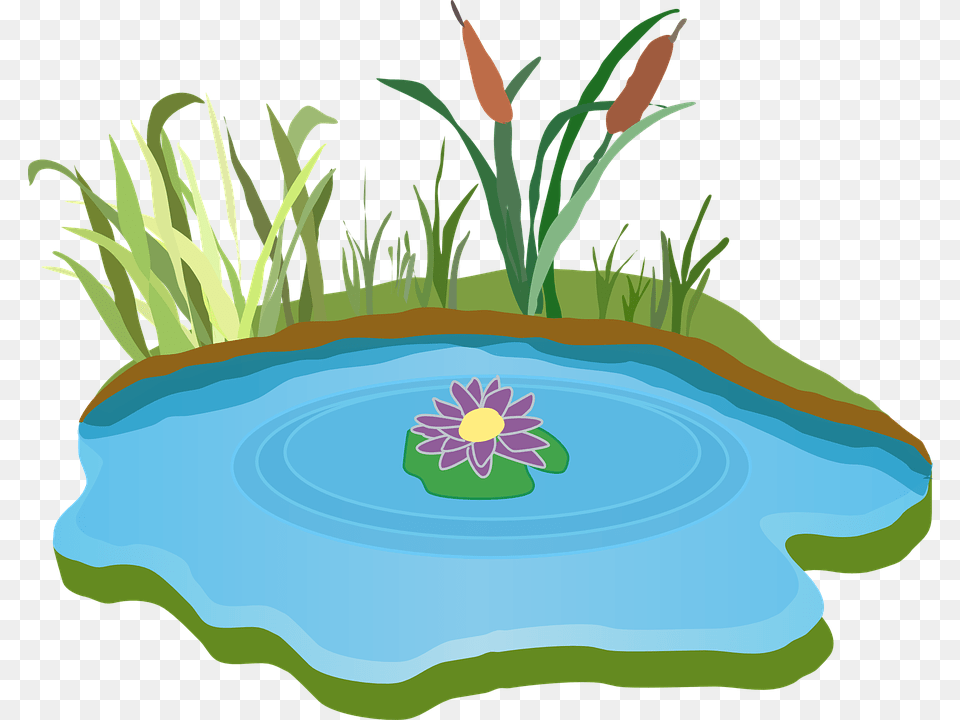 Ducks Clipart Pond Clipart, Water, Outdoors, Nature, Art Png