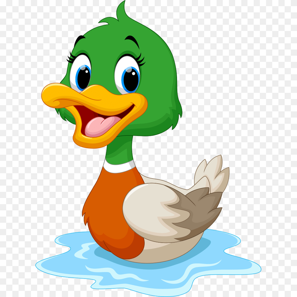 Ducks Clipart Real Duck, Animal, Beak, Bird, Waterfowl Free Png Download