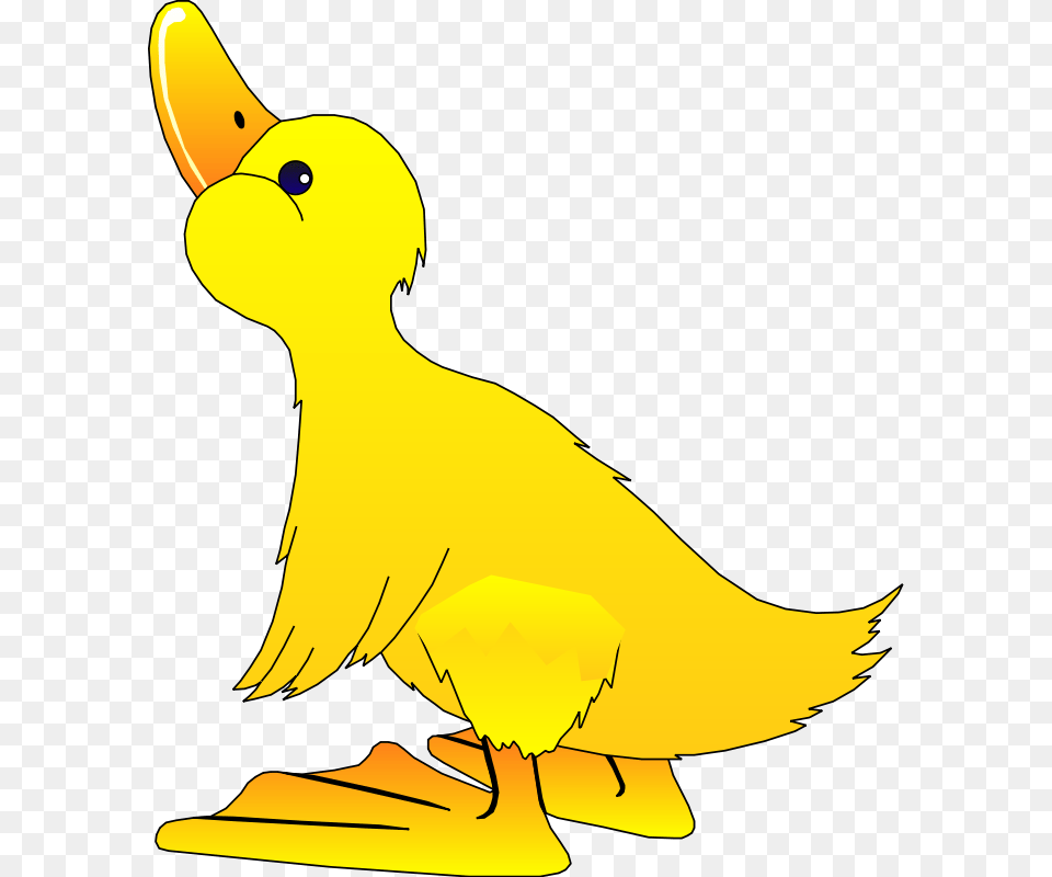 Ducks Clipart Yellow, Animal, Beak, Bird, Duck Free Transparent Png