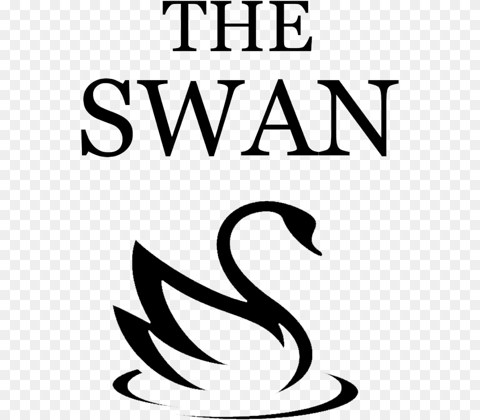 Ducks Geese And Swans, Text, Animal, Bird, Swan Free Transparent Png