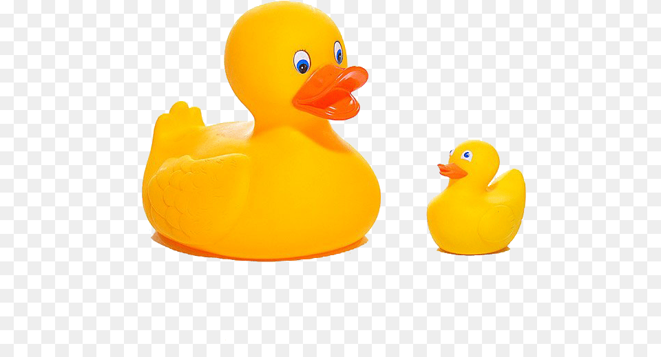 Ducks Rubber, Animal, Bird, Duck, Chicken Png Image