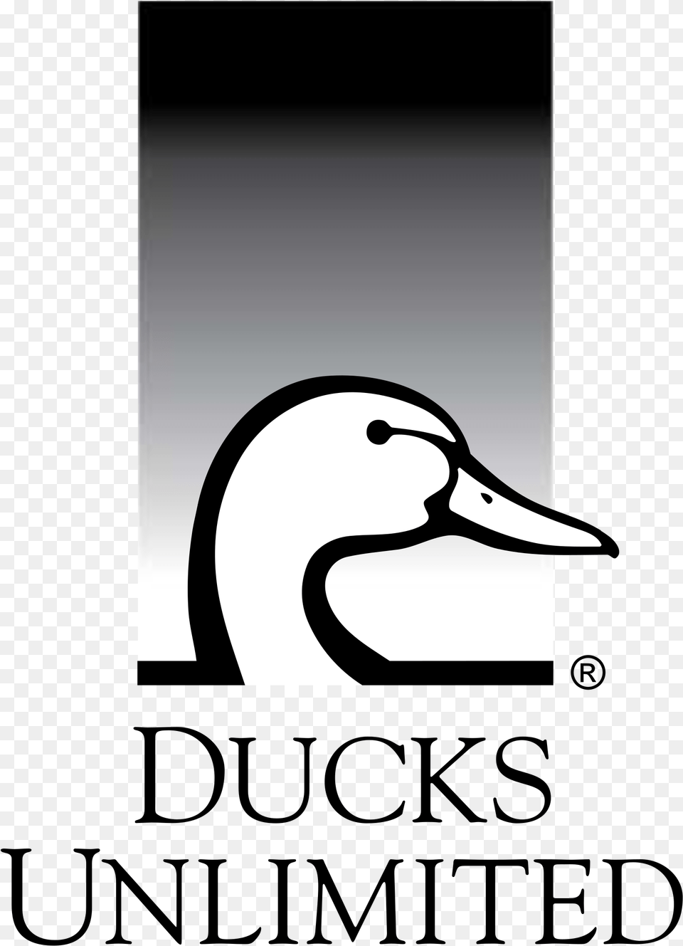 Ducks Unlimited, Animal, Bird, Duck, Stencil Png Image