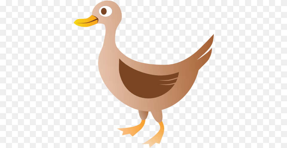 Ducks Vector, Animal, Beak, Bird, Duck Png Image