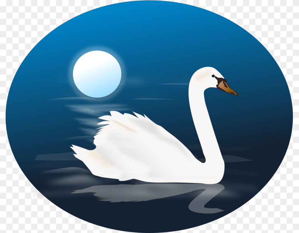 Duckwater Birdswan Animated Images Of Swan, Animal, Bird, Astronomy, Moon Free Png