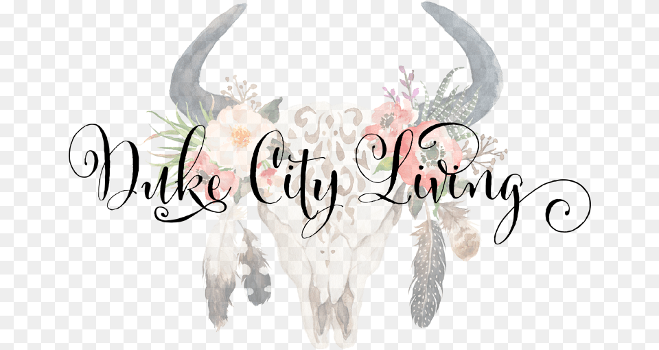 Duke City Living Cow Skull With Flowers And Feathers Decorative, Animal, Art, Bull, Mammal Png