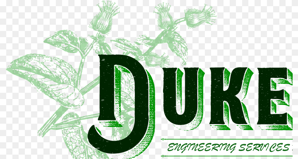 Duke Engineering Services Graphic Design, Green, Herbal, Herbs, Mint Free Transparent Png