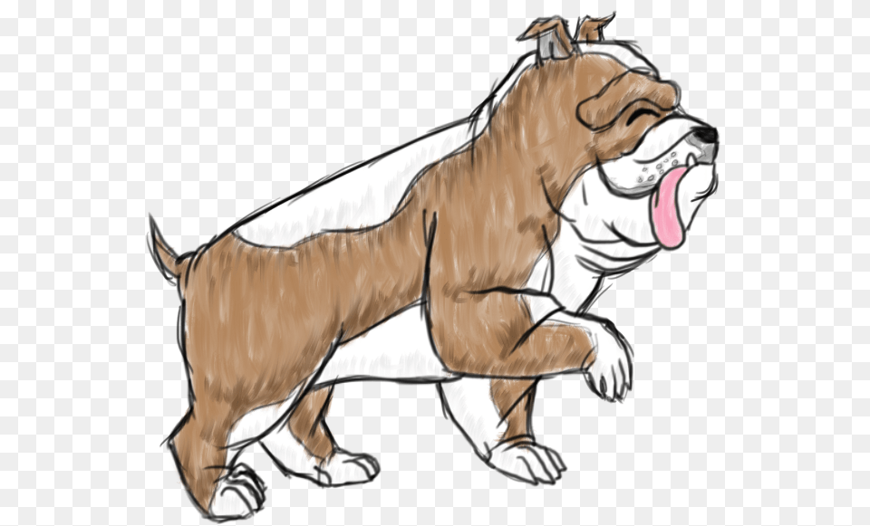 Duke The English Bulldog Illustration, Baby, Person, Animal, Canine Free Png