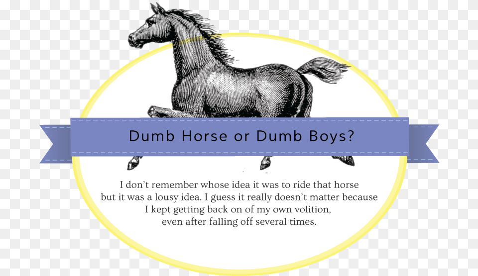 Dumb Horse Or Dumb Boys Mane, Animal, Colt Horse, Mammal, Advertisement Png Image