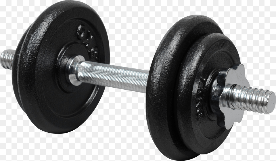 Dumbbell, Fitness, Sport, Working Out, Gym Free Png