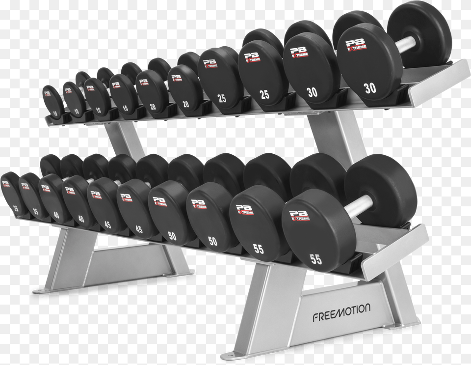 Dumbbell, Fitness, Gym, Sport, Working Out Free Png