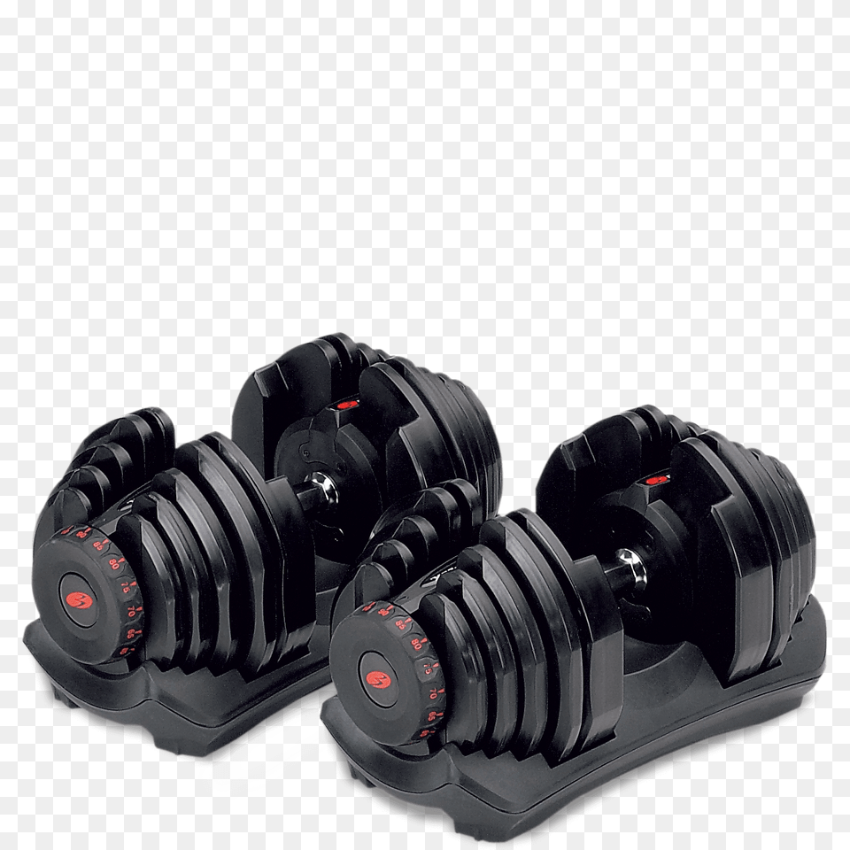 Dumbbell, Fitness, Sport, Working Out, Gym Free Png Download