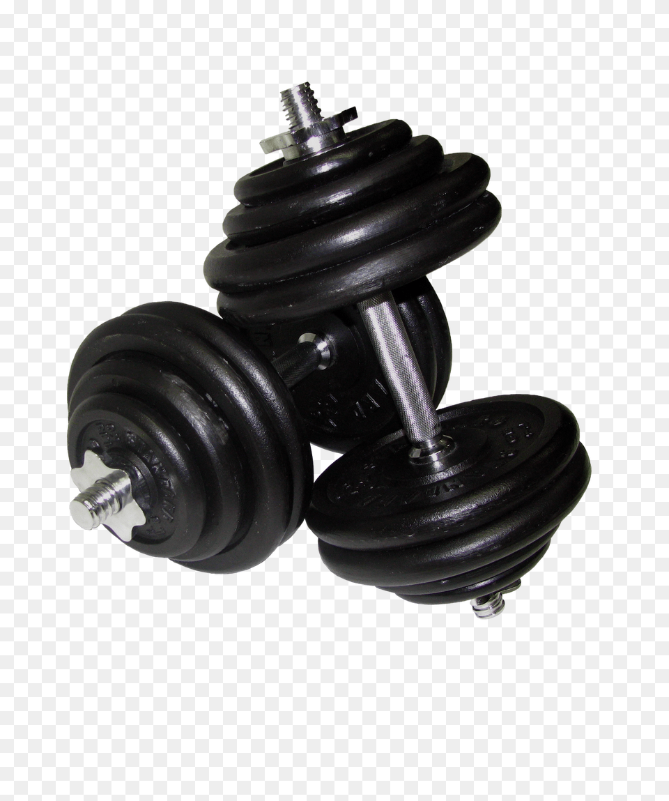 Dumbbell, Fitness, Gym, Gym Weights, Sport Free Png