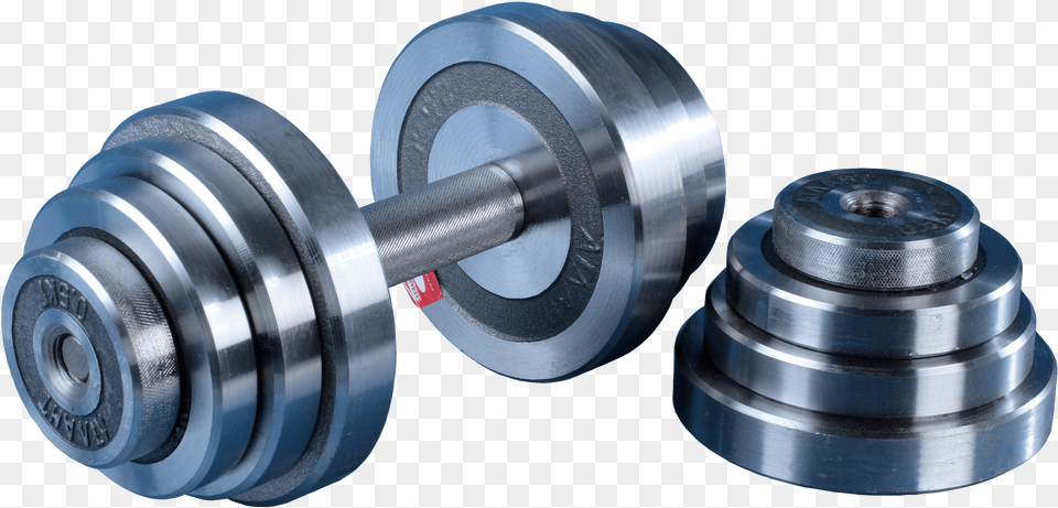 Dumbbell, Fitness, Gym, Sport, Working Out Free Png Download