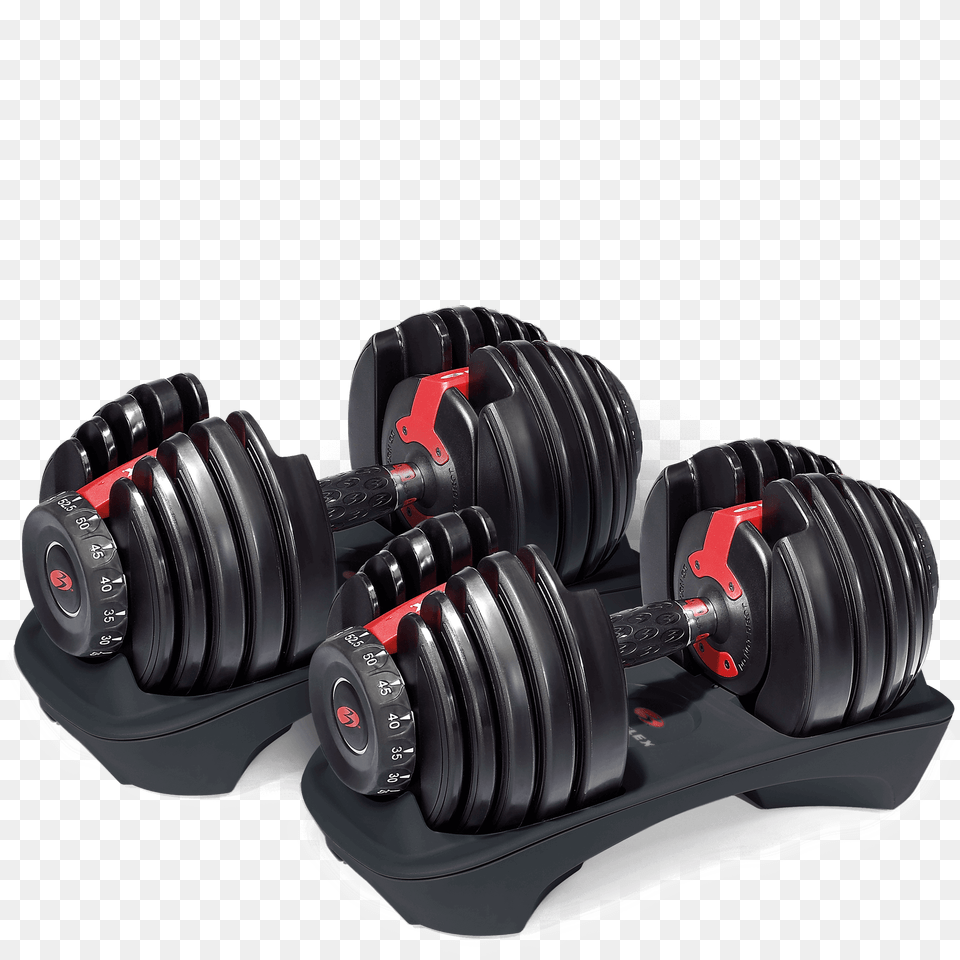 Dumbbell, Fitness, Gym, Gym Weights, Sport Png Image
