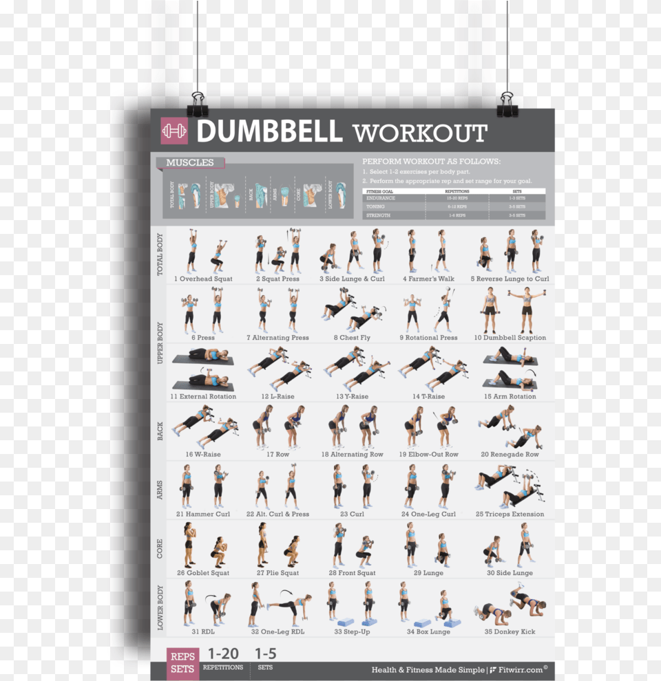 Dumbbell Exercises Muscle Groups, Person, People, Text Free Transparent Png