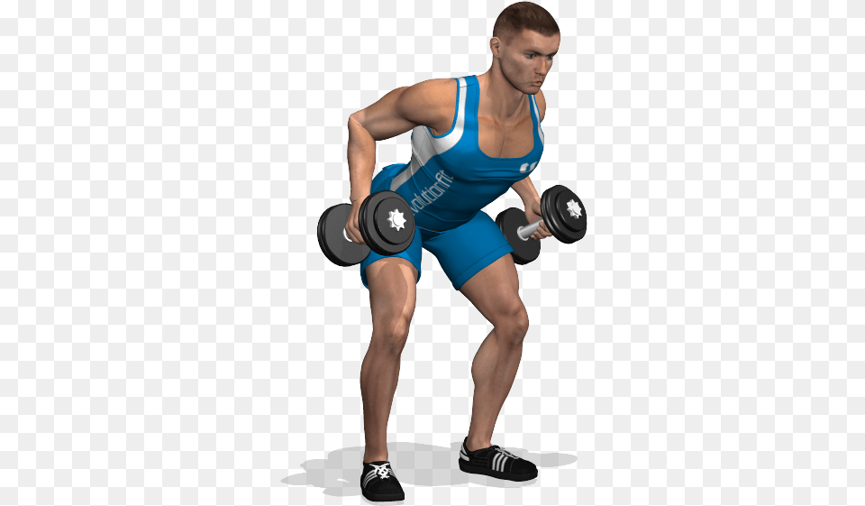 Dumbell, Working Out, Bicep Curls, Sport, Fitness Free Png