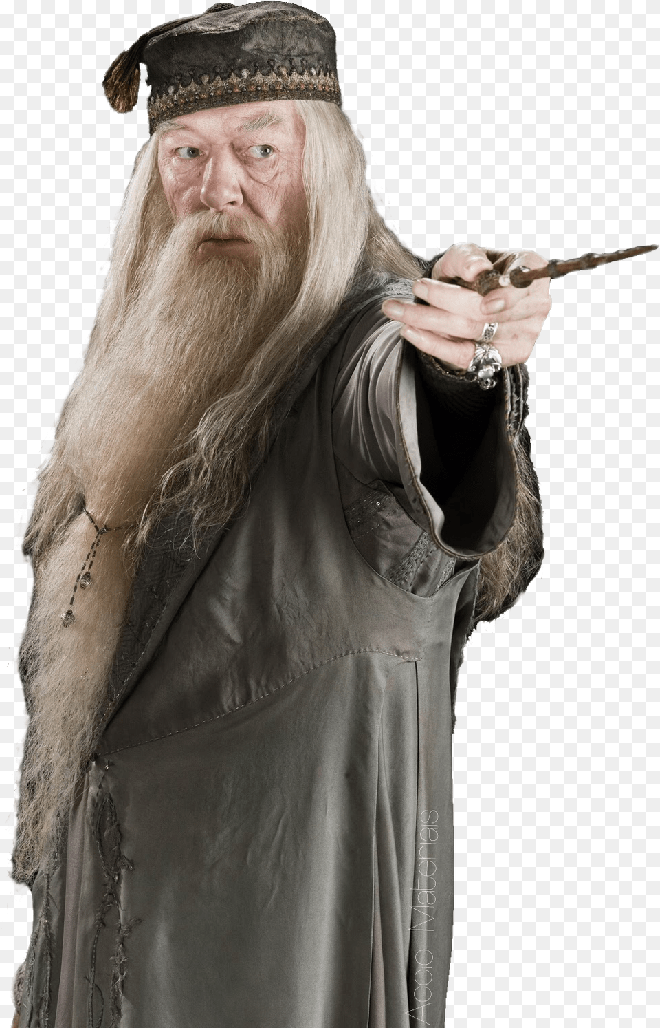 Dumbledore Harry Potter, Head, Beard, Face, Person Free Transparent Png