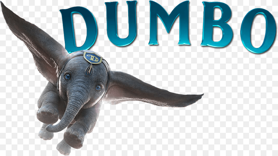 Dumbo Dumbo 2019 Movie Poster, Animal, Dinosaur, Reptile, Wildlife Png