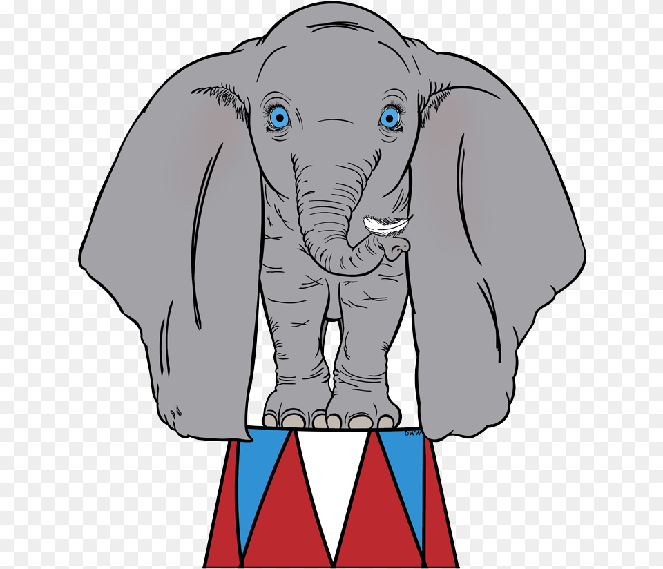 Dumbo Standing, Person, Animal, Wildlife, Face Free Transparent Png