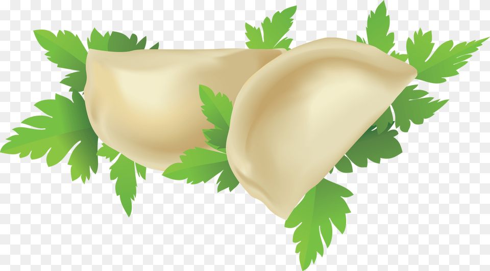 Dumplings, Herbs, Plant, Food, Pasta Png