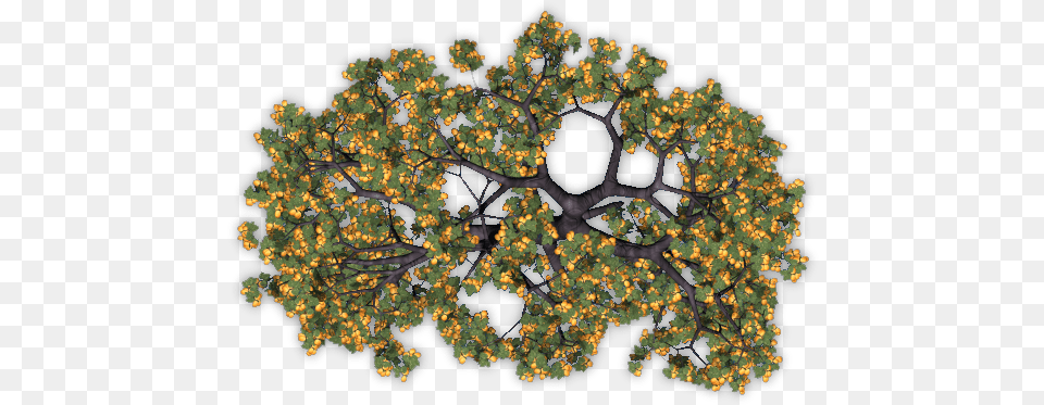 Dundjinni Mapping Software Forums Apricot Trees Camomile, Accessories, Fractal, Vegetation, Tree Free Transparent Png
