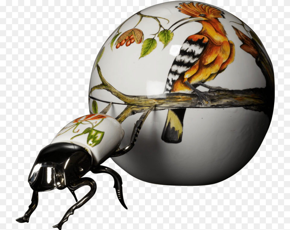 Dung Beetle Ceramics, Sphere, Helmet, Light, Animal Free Png
