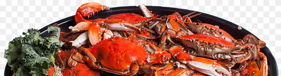 Dungeness Crab, Food, Food Presentation, Animal, Invertebrate Png Image