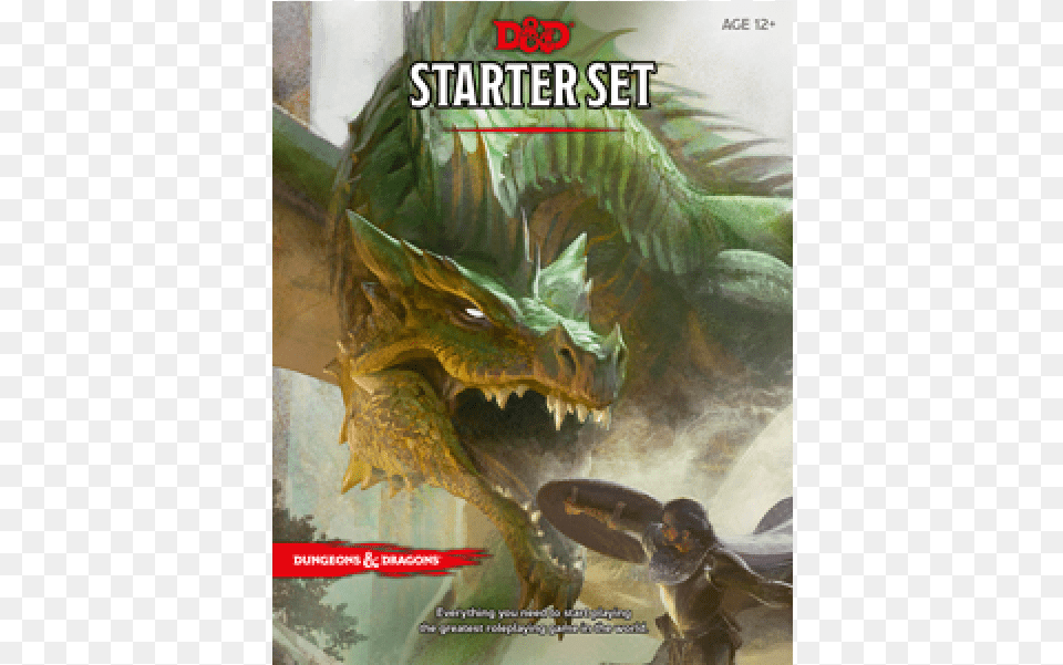 Dungeons Amp Dragons 5e Dungeons And Dragons Starter Set, Dragon, Person Png