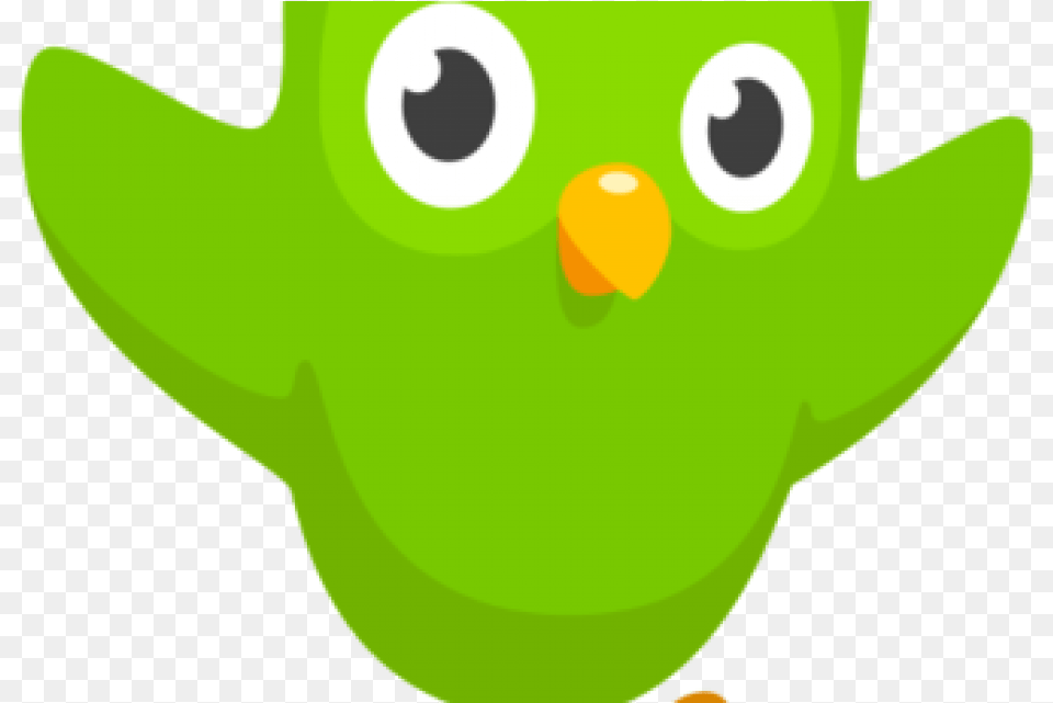 Duolingo Enables English Speakers To Learn Hebrew For You Missed Your Spanish Lesson, Green, Baby, Person Png Image