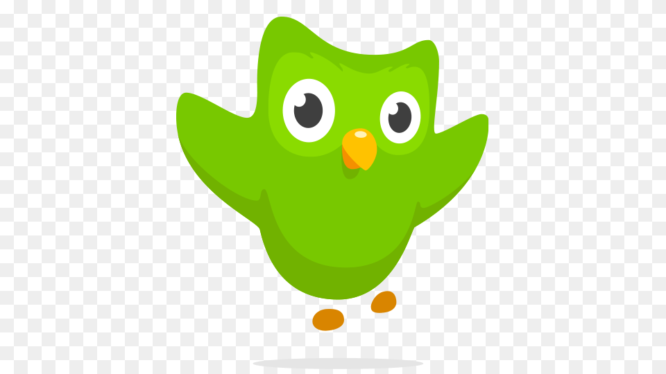 Duolingo Learn Spanish French And Other Languages For Green, Plush, Toy, Animal Free Png Download