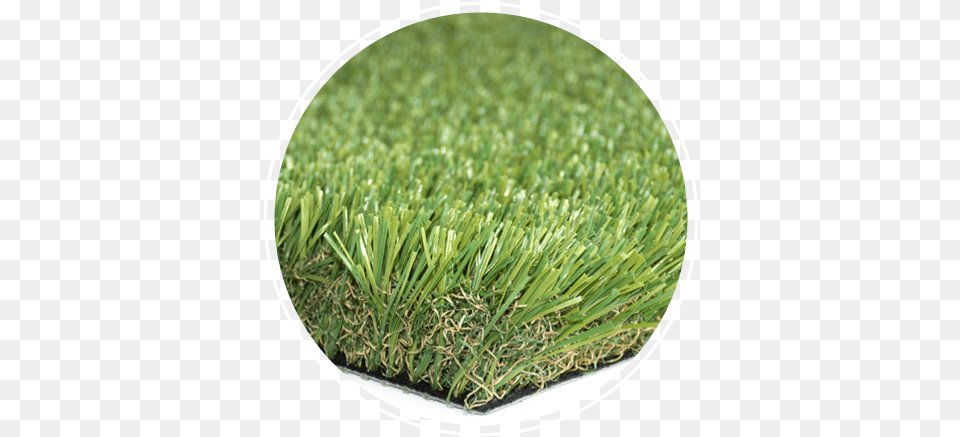 Durablade 95 Synthetic Turf Grass, Lawn, Plant, Vegetation Png Image
