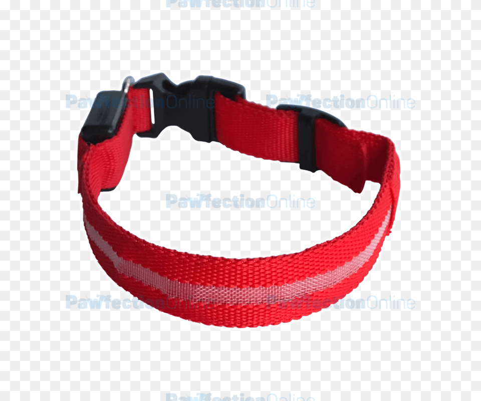 Durable Nylon Led Dog Collar, Accessories, Strap, Diaper Free Transparent Png