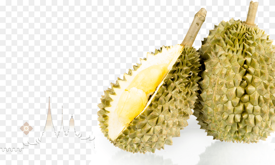 Durian, Food, Fruit, Plant, Produce Free Png Download