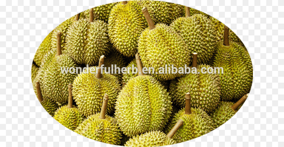 Durian, Food, Fruit, Plant, Produce Free Transparent Png