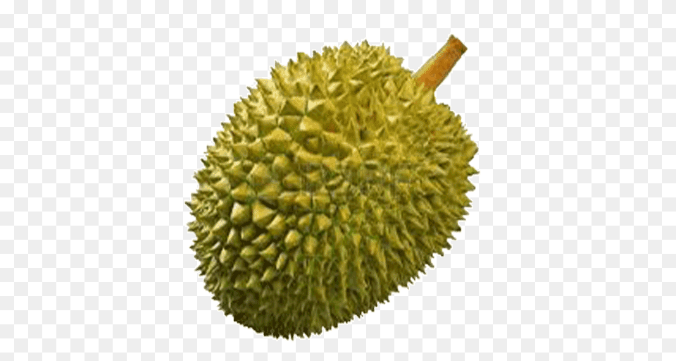 Durian, Food, Fruit, Plant, Produce Png