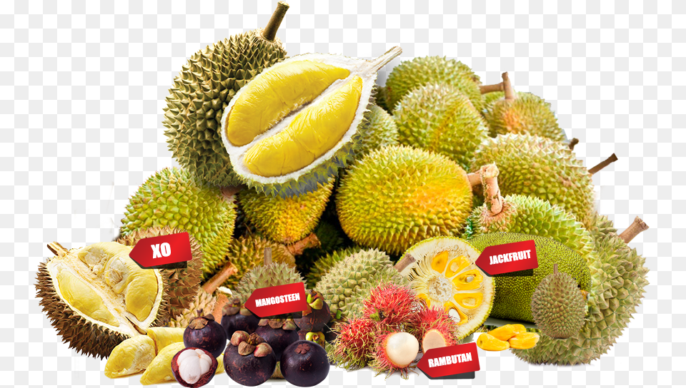 Durian, Food, Fruit, Plant, Produce Png Image