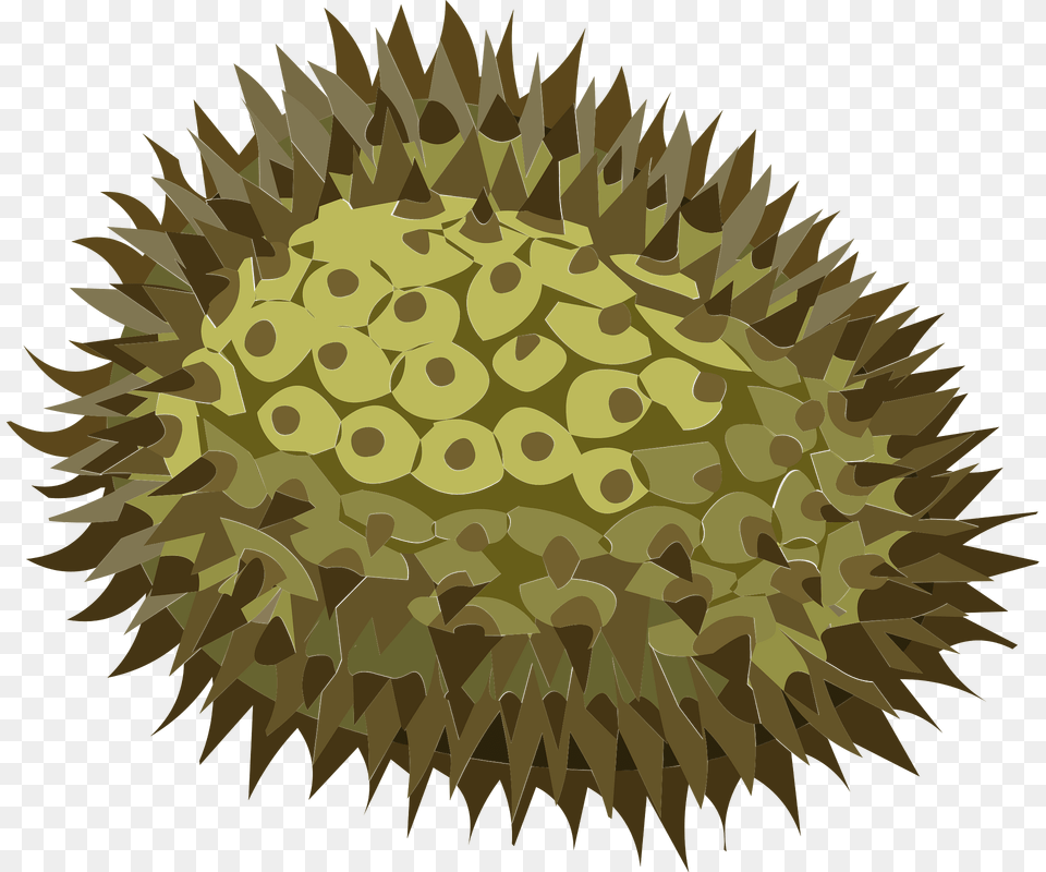 Durian Clipart, Plant, Animal, Sea Life, Fish Free Png