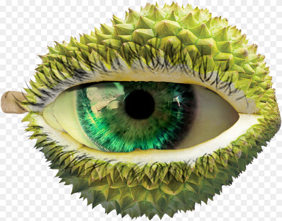 Durian Image With No Background Eyelash Extensions, Food, Fruit, Plant, Produce Free Transparent Png