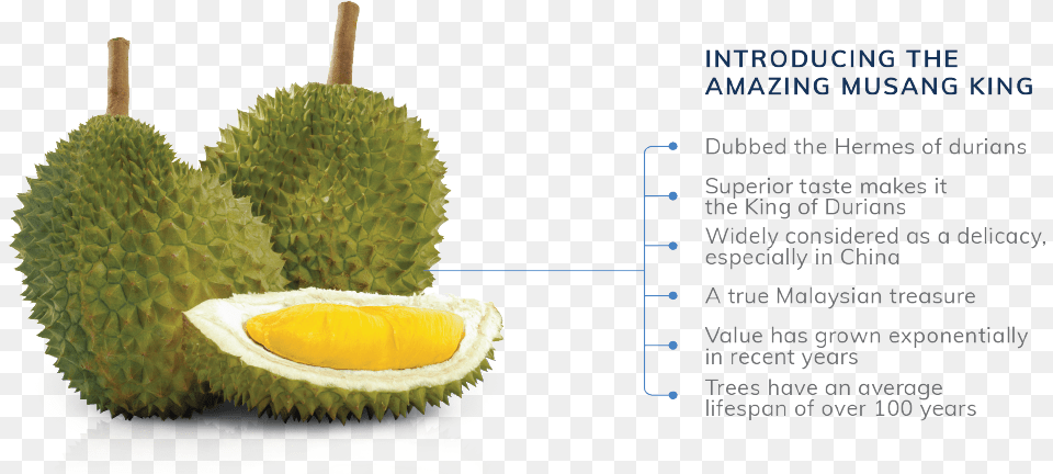 Durian Musang King, Food, Fruit, Plant, Produce Free Transparent Png